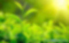 CER與VER減排項目有哪些區(qū)別？