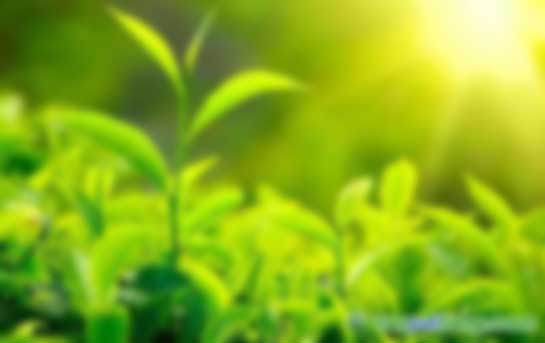 CER與VER減排項目有哪些區(qū)別？