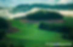 碳匯交易補(bǔ)貼多少錢(qián)一噸以及樹(shù)林怎么計(jì)算碳匯量，哪個(gè)交易所價(jià)格最高