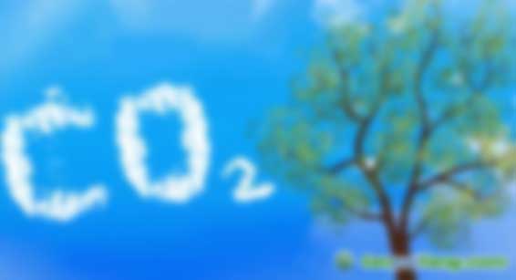 中創(chuàng)碳投教育第95期“碳市場機制與企業(yè)碳管理”高級課程開始招生啦！