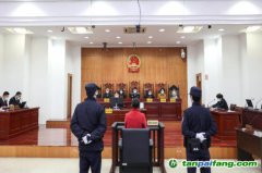 碳匯修復(fù)，解鎖生態(tài)司法綠色基因