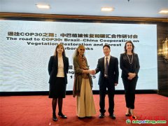 巴西環(huán)境部長：全球南方國家應(yīng)緊密團結(jié) 共促COP30氣候承諾加速落地