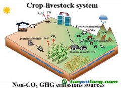 3000美元人均GDP：農(nóng)業(yè)碳減排與經(jīng)濟脫鉤節(jié)點