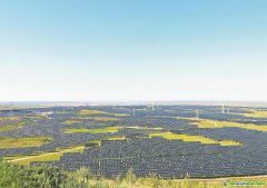 內蒙古：逐綠而行 促進碳市場高質量發(fā)展