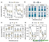 種樹越久，固碳越慢？研究揭示飽和趨勢